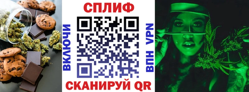Купить  Саяногорск  Canna-Cookies конопля 