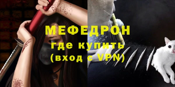 индика Елизово