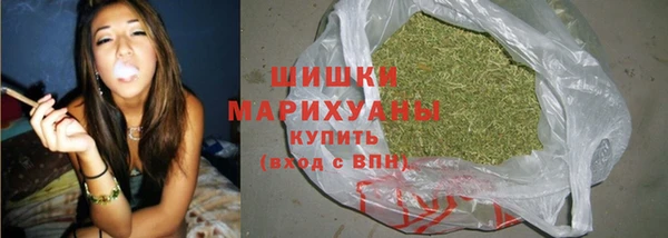 индика Елизово