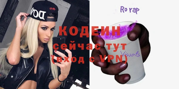 индика Елизово