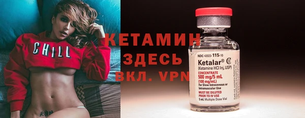 индика Елизово