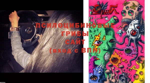 индика Елизово