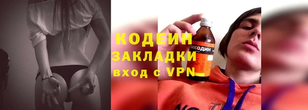 индика Елизово