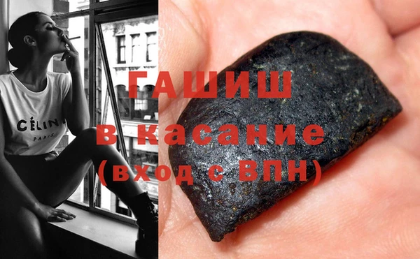индика Елизово