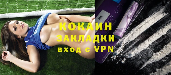 индика Елизово