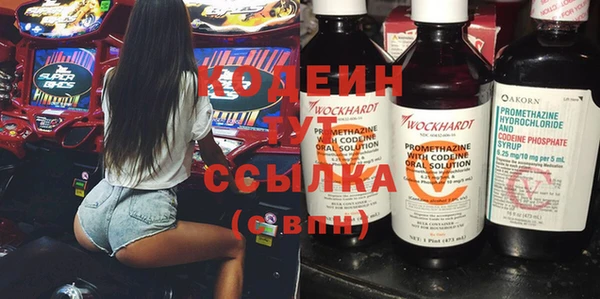 индика Елизово