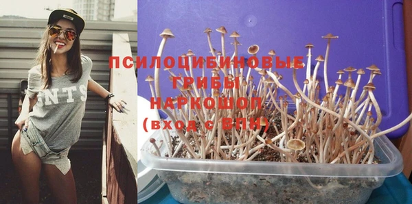 прущая мука Ельня