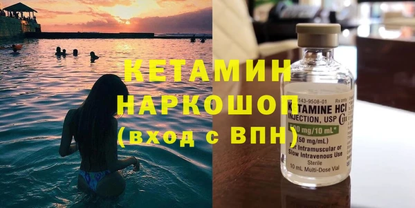 индика Елизово