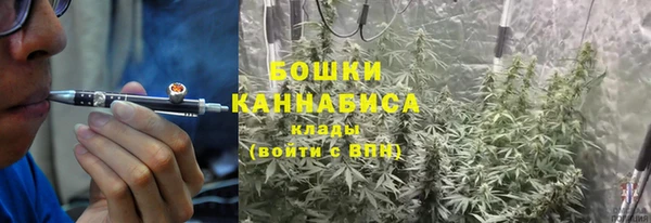 прущая мука Ельня
