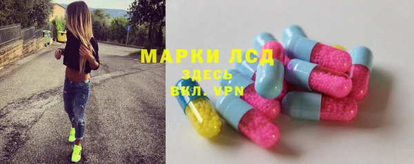 индика Елизово