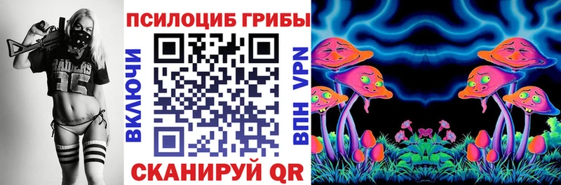 Купить  Саяногорск  Галлюциногенные грибы MAGIC MUSHROOMS 
